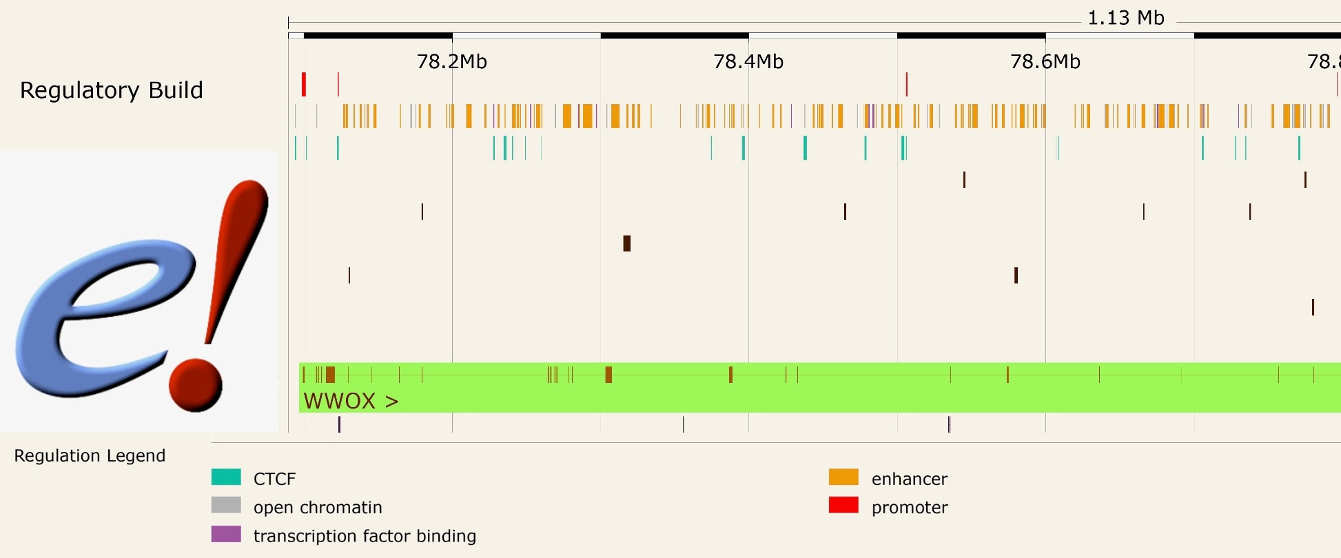 Bioinformatic Analyses of Large Genomic Datasets